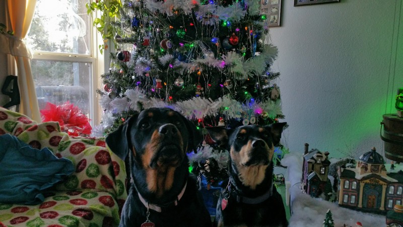 2016-12-18-16-40-49