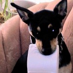 20111109_131002