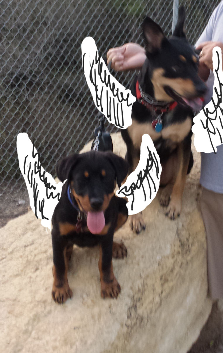 2013-09-10-20-49-38