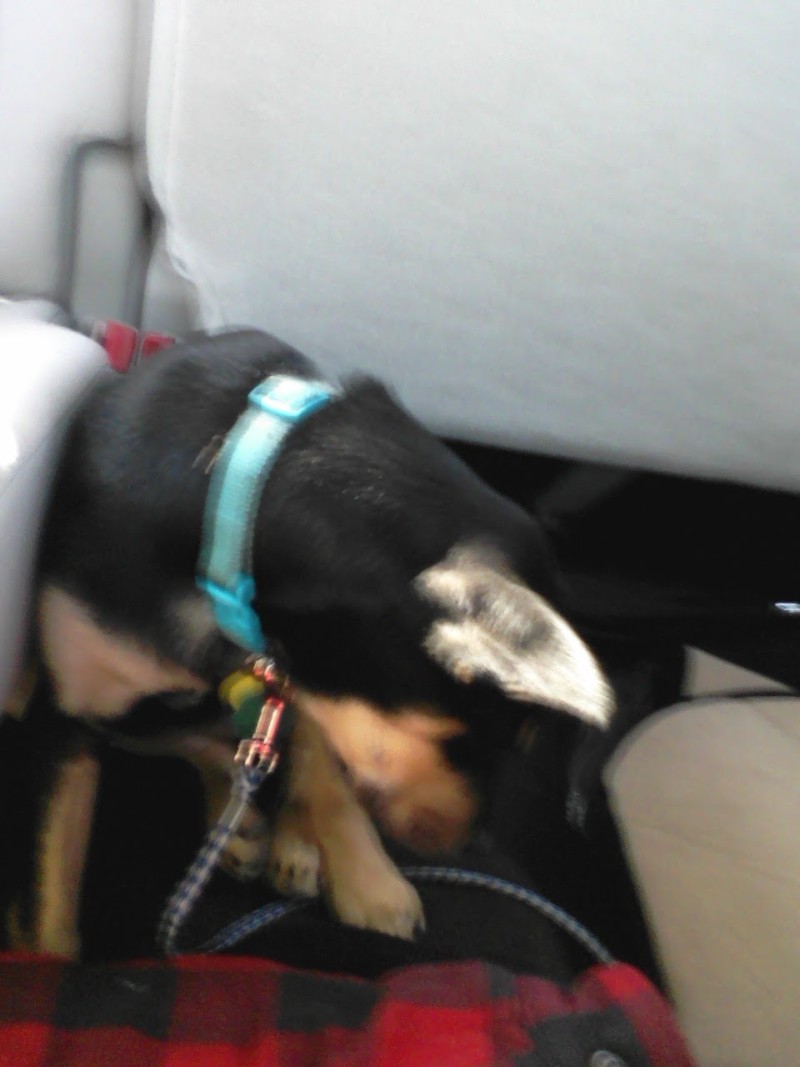 image04122011165421