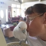 20170620_163129