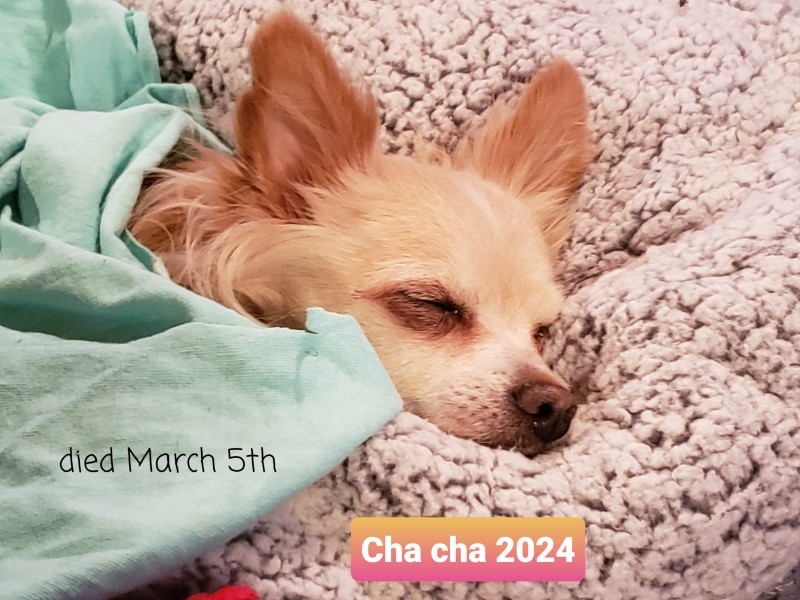 20240323_090133