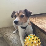 Eddie 9-19-23