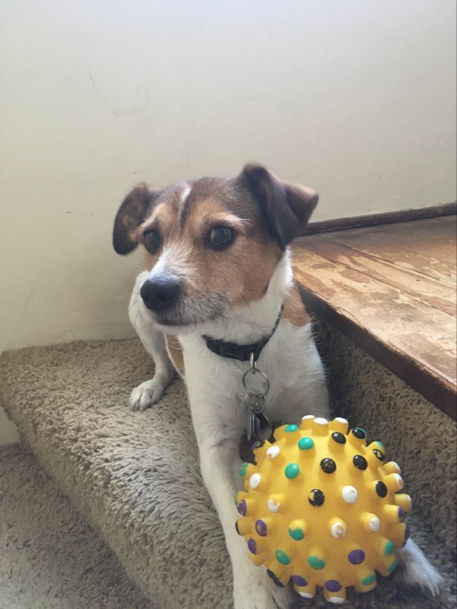 eddie-9-19-23