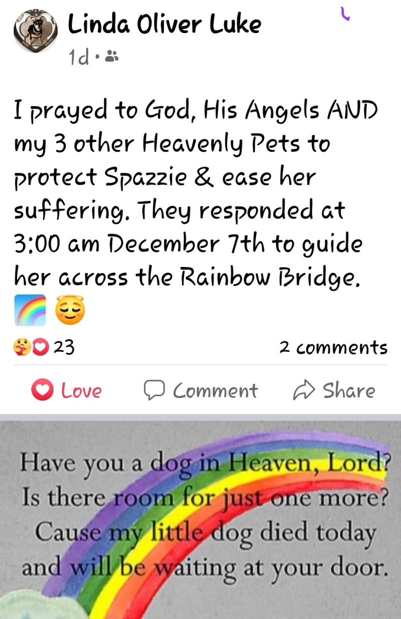 screenshot_20221208_143307_facebook