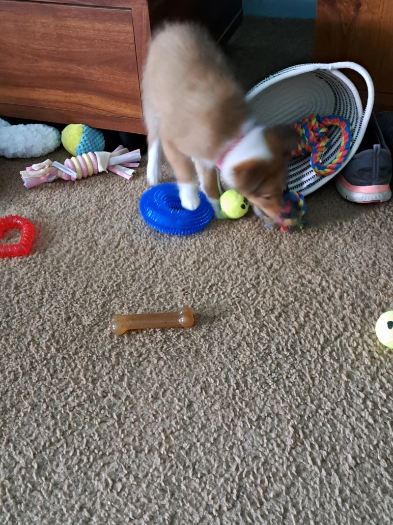 jpeg_20230516_150258_4303816839135527035