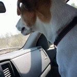FB_IMG_1637616972024