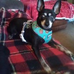 Louie April 2022