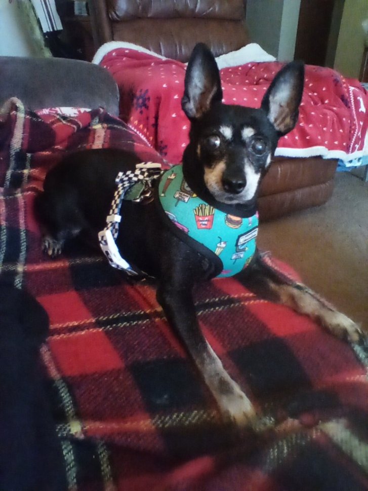 louie-april-2022