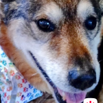 Screenshot_20230506-002317