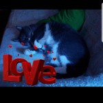 Screenshot_20190402-131216_Facebook