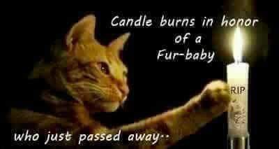 fb_img_1608185214549