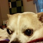 IMG_1685393281731