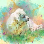 108911-GIRL copy 2