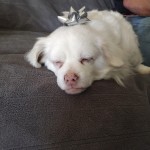 IMG_20221224_111503684