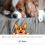 Screenshot_20230225_114436_Facebook