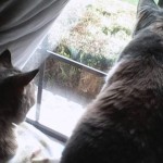 IMG_20200113_012439_839