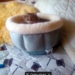 Screenshot_20240120-181311