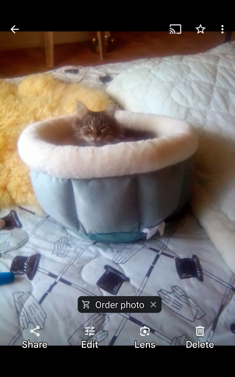 screenshot_20240120-181311