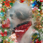 ChristmasPhoto1640363729647