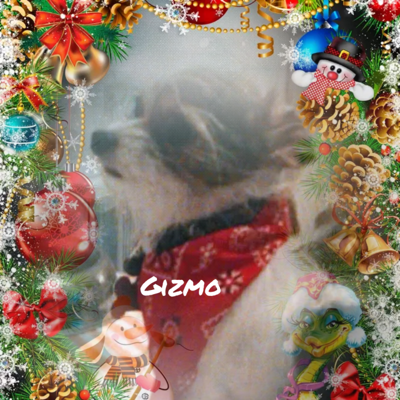 christmasphoto1640363729647